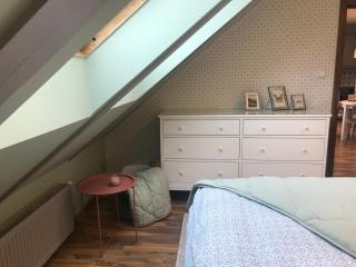 ATTIC APARTMENT on WATERFRONT / VIEW / NETFLIX - Prague - 1