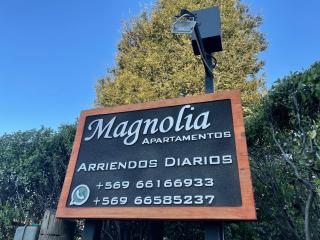 Apartamentos-Magnolia - Pucón - 4