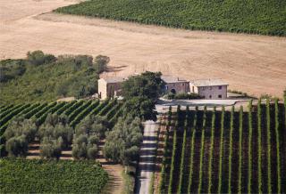 Agriturismo Il Poggione - Montalcino - 6