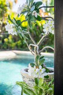 Jagaditha Villas - Sanur - 7