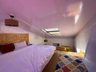 Tethys Himalayan DEN - Chicham - Kaza - 5