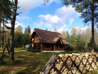 Trakų vienkiemis - 8