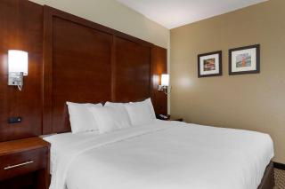 Comfort Inn & Suites Near Six Flags & Medical Center - 3