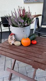B&B Haus Kristal - 1