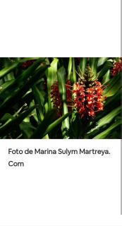 Jardín de Naipí 3 - 7