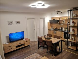 Zlatar Holidays Apartmani - Nova Varoš - 4