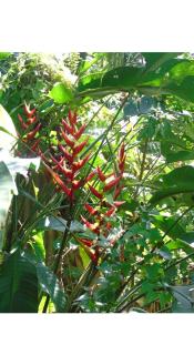Jardín de Naipí 3 - 4
