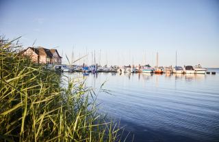 Bades Huk Marina Hotel - Hohen Wieschendorf - 9