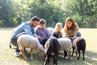 Hotel Kempense Meren by Sunparks - Mol - 5