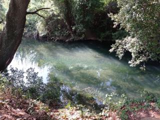 ADAGIO - Solliès-Pont - 5