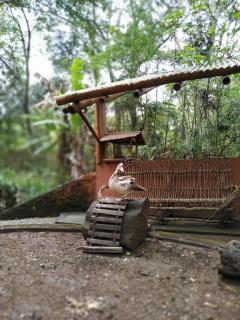 Pousada Recanto dos Anjos - 2