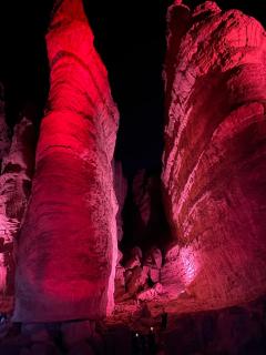 פנינת הדקל בבאר אורה - 7