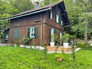Ferienhaus s Manz - Grundlsee - 1