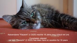 Haus am Trielberg - Meersburg - 8
