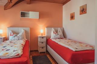 Armonia Altach, 2-6 P, 2 Schlafzimmer, Küche, Parkplatz, Balkon, Wifi, Garten, Stellplatz für Ski - Altach - 1