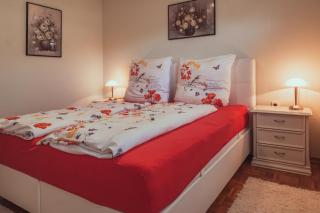 Gardenia-Altach, 2-4 P, Küche, Garten, Terrasse, Parkplatz, Wifi, Ski Stellplatz - Altach - 7