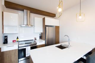 Light Filled 2 Bdr Unit in Mile End by Den Stays - Montreal - 3