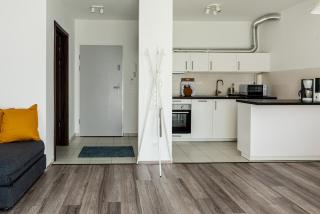 Amphora Luxury Apartment with FREE private Parking and cozy Balcony - Budapest - 1