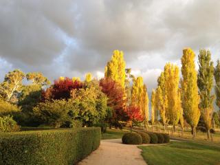 Glen Waverly Farmstay - Glen Innes - 9