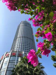 Swissotel Foshan, Guangdong - Free shuttle to Canton Fair - Foshan - 6