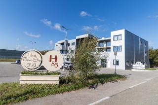 H85 - Chatte - 1