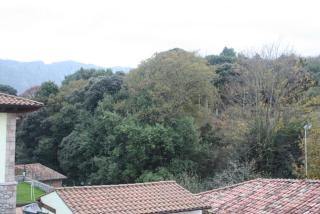 EL JARDÍN DE ALEYDA, VV VACACIONAL - Llanes - 5