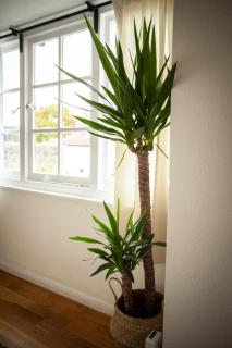 The Chagford Inn - 4