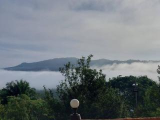 ไร่ภูจำปา - 9