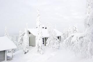 Kotamäki A - Syöte - 1