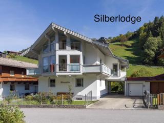 Silber Lodge im Wiesenstein - Auffach - 0
