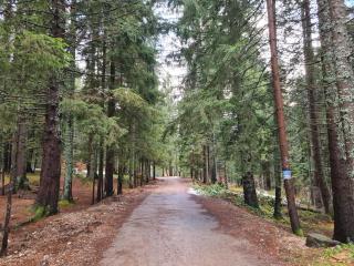 Apartman Ogi - Nova Varoš - 3