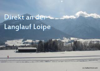 Sonnenhof Walchsee - 9