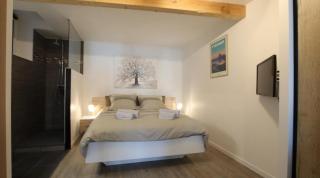 Le Saint Pierre Quartier Historique d'Oloron Sainte Marie - 9