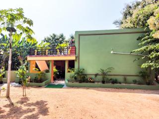 BANANA FARM HOUSE - Hampi - 3