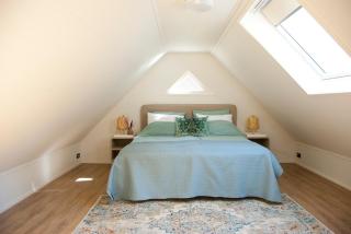 B&B Hof ter Lemferdinge - Paterswolde - 5