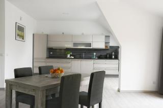 Alpakas im Chemnitztal - 3