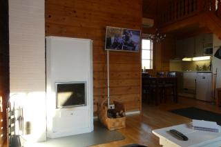 Metsorinne 3A sarvipöllö - 7