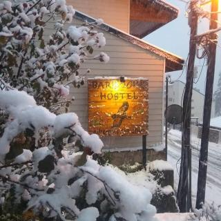 Bariloche Hostel - San Carlos de Bariloche - 2