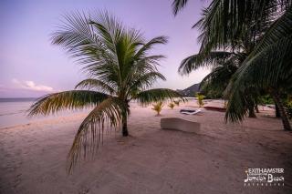 Jamelah Beach Guest House - Anse aux Pins - 7
