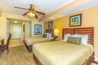 Towers On The Grove 724 Direct Oceanfront Suite Sleeps 6 guests - 5