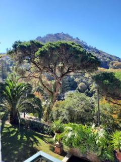 Luxurious royal estate in historic Sintra paradise - 3