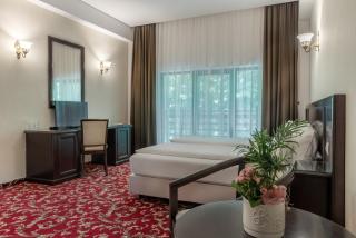 Rediu Hotel & Restaurant - Botoşani - 7