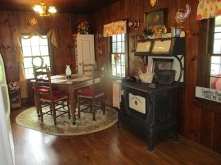 Historic cabin off I-77, views, antiques, Wi-fi, wonderful experience for 2! - 0