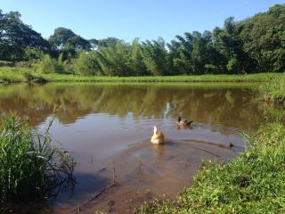 Águas Vivas Hotel Fazenda - 2