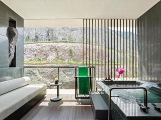 Banyan Tree Nanjing Garden Expo - 3