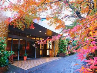 Yugawara Onoya Ryokan - Yugawara - 9