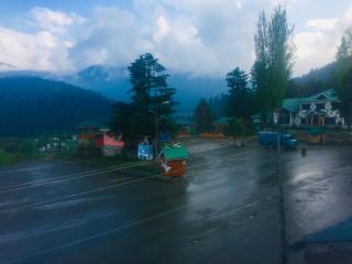 Pine view - Gulmarg - 6