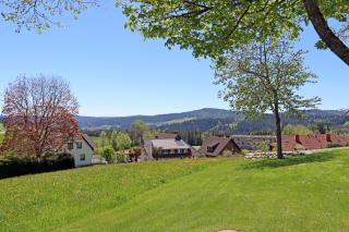 Hotel Kreuz Höhengasthof - Breitnau - 8