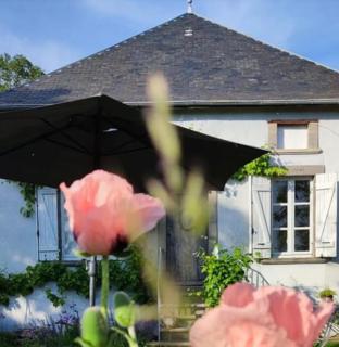 Chambre d'hôte équestre Au petit bonheur - Châteldon - 8