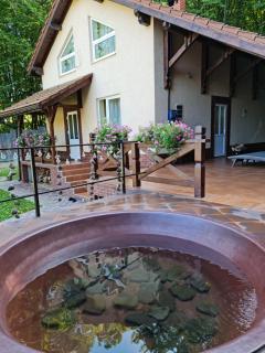 Zelena Saduba - Nevitskoye - 8